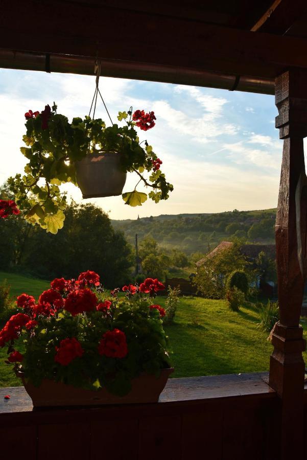 Siklod. Csaba Vendeghaz Hotel Luaran gambar